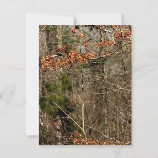 EBENE 4x5 danken Ihnen, Dankeskarte (Rückseite)