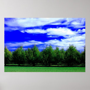 Ebenen der Natur Poster