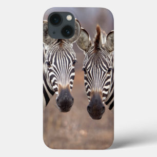 Ebenes Zebras, Kruger-Nationalpark Case-Mate iPhone Hülle