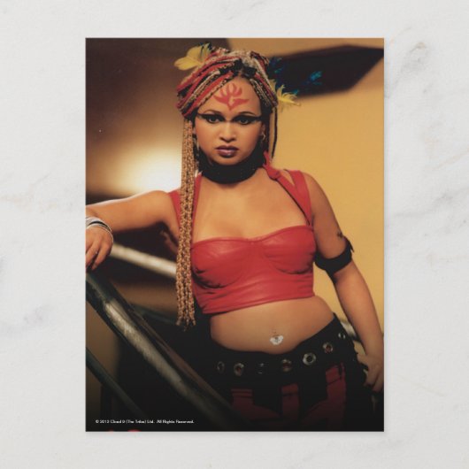 Ebenholz der Stamm Postkarte (Vorderseite)