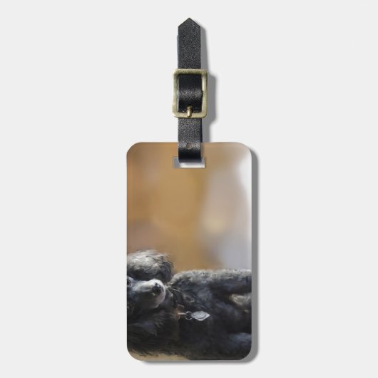 Ebenholz Gepäckanhänger (Vorderseite vertikal)