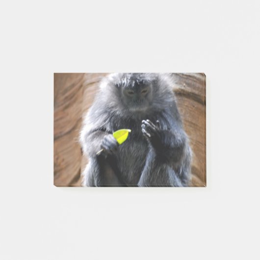 EbenholzLangur Post-it Klebezettel (Vorderseite)