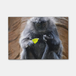 EbenholzLangur Post-it Klebezettel