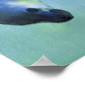 Ebenso faszinierend 2003 poster (Ecke)