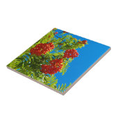 Ebereschebaum mit roten Beeren Fliese (Seite)
