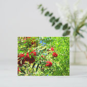 Ebereschebeeren Postkarte (Stehend Vorderseite)