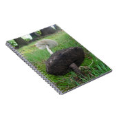 Ebony and Ivory Fungi Notebook Notizblock (Rechte Seite)