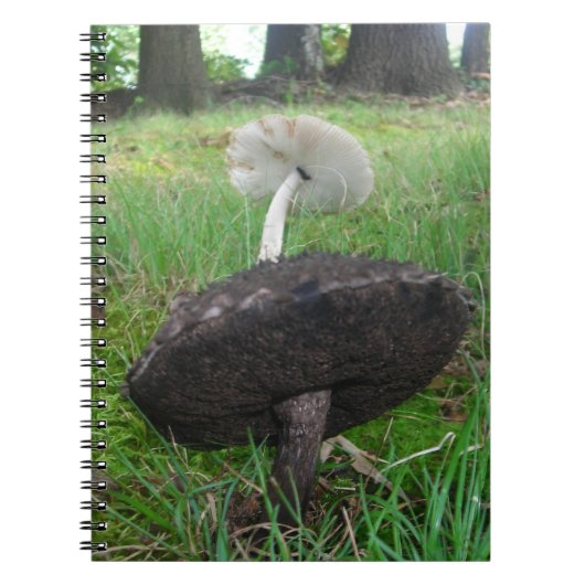 Ebony and Ivory Fungi Notebook Notizblock (Vorderseite)