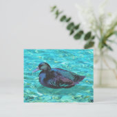 Ebony Duck - Postcard Postkarte (Stehend Vorderseite)