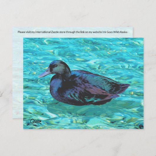 Ebony Duck - Postcard Postkarte (Vorne/Hinten)