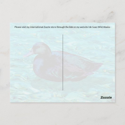 Ebony Duck - Postcard Postkarte (Rückseite)