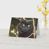 Ebony Karte (Gelbe Blume)