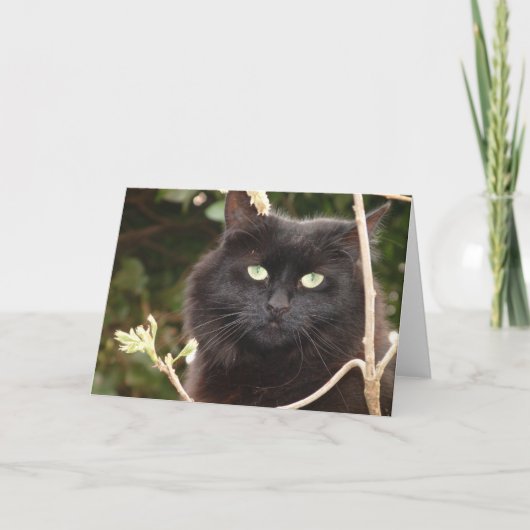 Ebony Karte (Vorderseite)