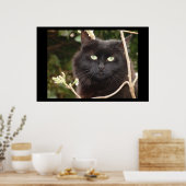 Ebony Poster (Küche)