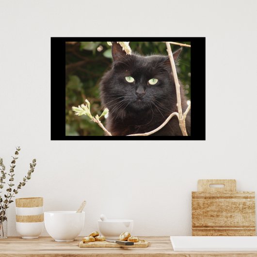 Ebony Poster (Küche)