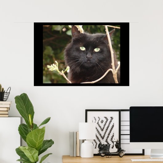 Ebony Poster (Heimbüro)