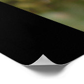 Ebony Poster (Ecke)