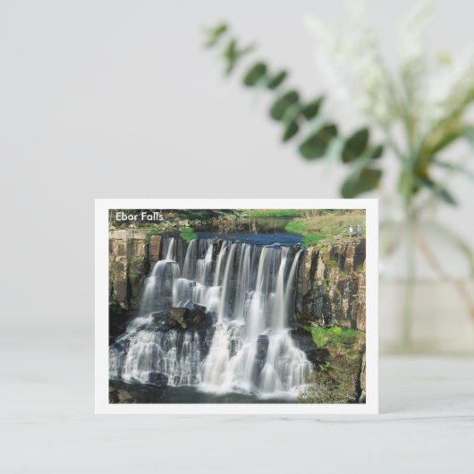 Ebor Falls Postkarte (Stehend Vorderseite)