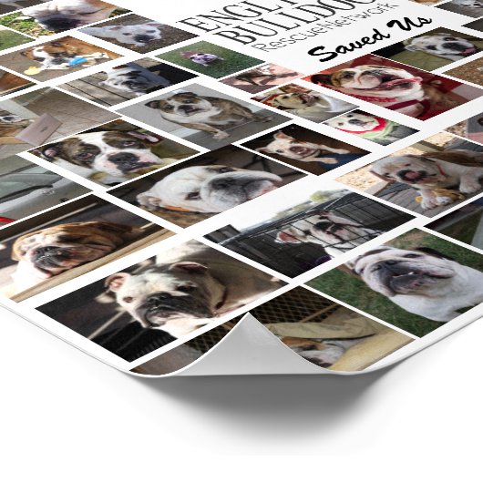 EBRN Rescue Poster (Ecke)