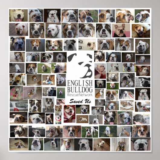 EBRN Rescue Poster (Vorne)