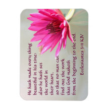 Ecclesiastes 3:11 Alles schön in seiner Zeit