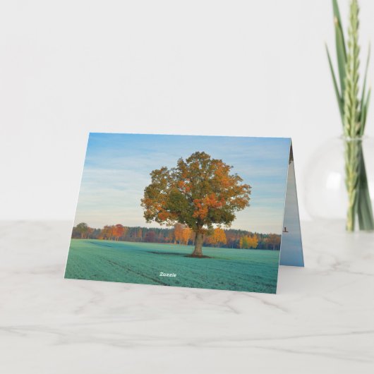 Ecclesiastes 3:11 Alles Schöne in seiner Zeit Karte (Rückseite)