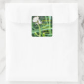 Ecclesiastes 3:11 Aufkleber (Tasche)