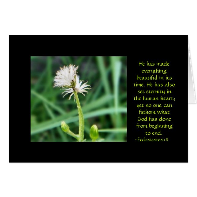 Ecclesiastes 3:11 Blume-Karte (Vorderseite (Horizontal))
