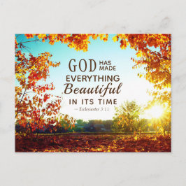 Ecclesiastes 3:11 Er hat alles schön gemacht Postkarte