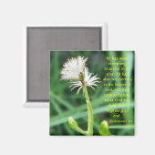 Ecclesiastes 3:11 Magnet (Vorderseite/Rückseite)