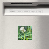 Ecclesiastes 3:11 Magnet (In Situ (Geschirrspüler))