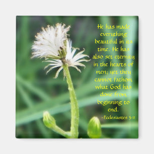 Ecclesiastes 3:11 Magnet
