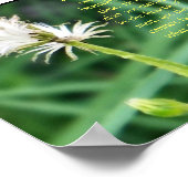 Ecclesiastes 3:11 poster (Ecke)