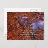Ecclesiastes 3:1 Zu allem gibt es eine Saison Postkarte (Vorne/Hinten)