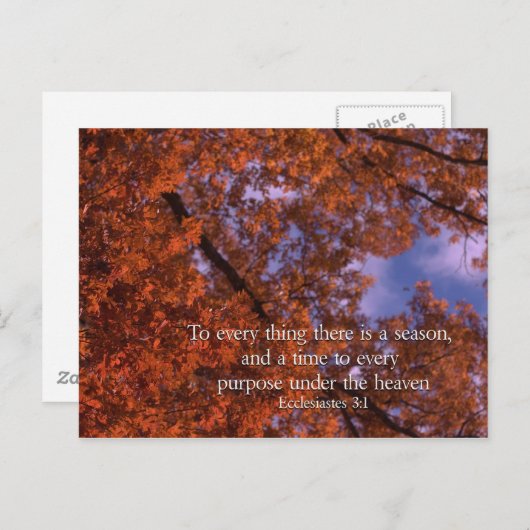 Ecclesiastes 3:1 Zu allem gibt es eine Saison Postkarte (Vorne/Hinten)
