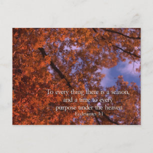 Ecclesiastes 3:1 Zu allem gibt es eine Saison Postkarte
