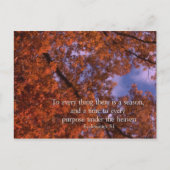 Ecclesiastes 3:1 Zu allem gibt es eine Saison Postkarte (Vorderseite)
