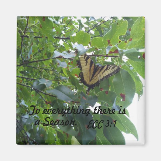 Ecclesiastes 3:1 Zu allem, was es eine Saison gibt Magnet (Vorne)