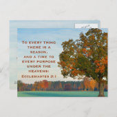 Ecclesiastes 3:1 Zu allem, was es eine Saison gibt Postkarte (Vorne/Hinten)