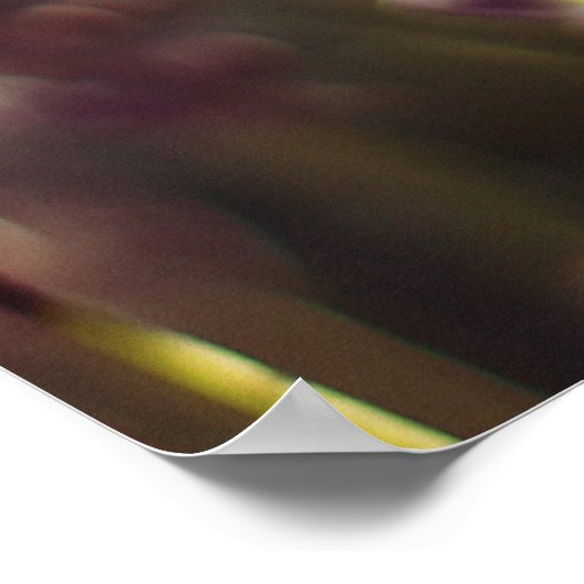 Ecclesiastes Verse Poster (Ecke)