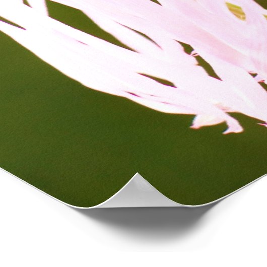 Ecclesiastes Verses Poster (Ecke)