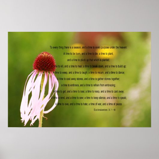 Ecclesiastes Verses Poster (Vorne)