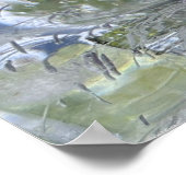 Eced Black Knight Butterfly Bush, Poster (Ecke)