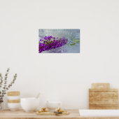 Eced Black Knight Butterfly Bush, Poster (Küche)