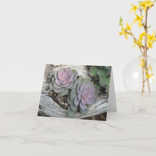 Ecehveria Succulent Note Card Karte (Gelbe Blume)