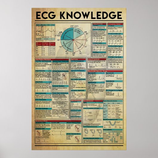 ECG Knowledge Poster, Cardiology Knowledge Poster (Vorne)