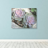 Echeveria auf gepanzerten Leinwand aus Treibholz (Insitu (Holzboden))