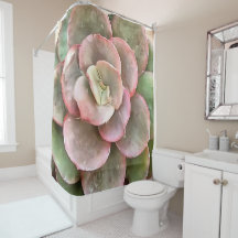 Echeveria Cactus sukkulent Acrylmalerei