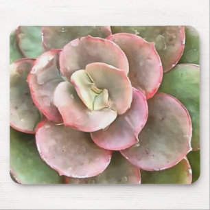 Echeveria Cactus sukkulent Acrylmalerei Mousepad