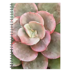 Echeveria Cactus sukkulent Acrylmalerei Notizblock